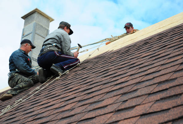 Trusted Freedom, CA Roofing Contractor Experts